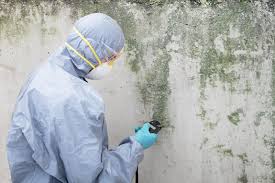 Best Biohazard Mold Removal  in Old Westbury, NY